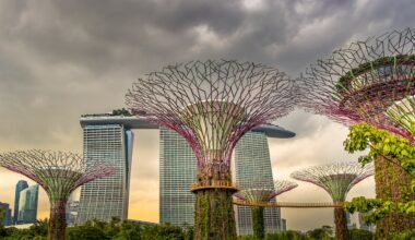 Garden by the bay